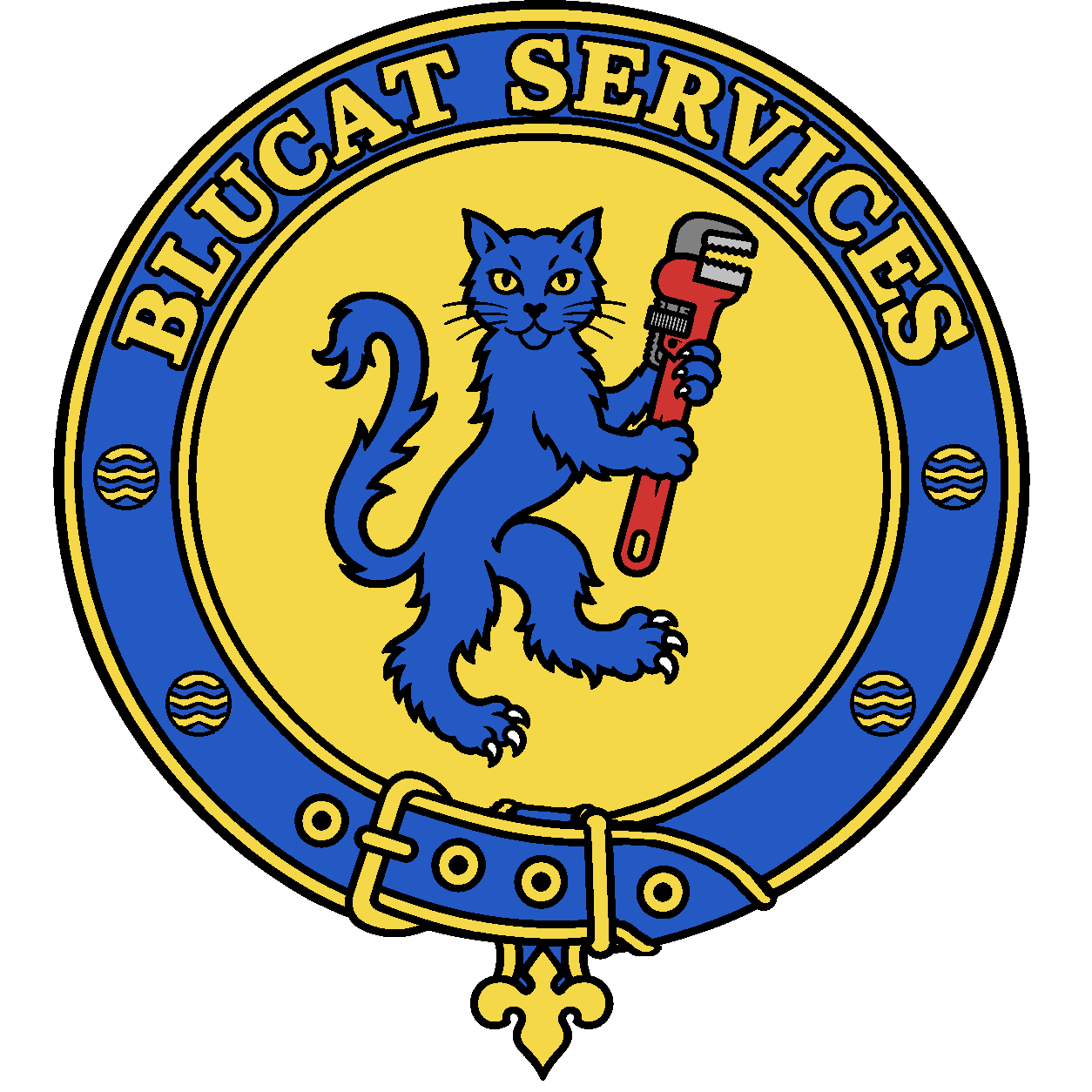 BLUCAT Services Ltd logo